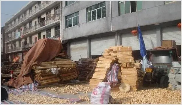 在农村做什么加工生意好？这六种很适合农民！ | 养殖项目前景
