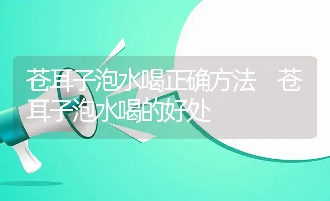 苍耳子泡水喝正确方法 苍耳子泡水喝的好处 | 养殖资料投稿