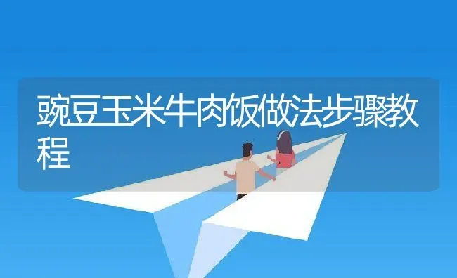 豌豆玉米牛肉饭做法步骤教程 | 养殖资料投稿