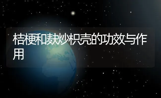 桔梗和麸炒枳壳的功效与作用 | 养殖资料投稿