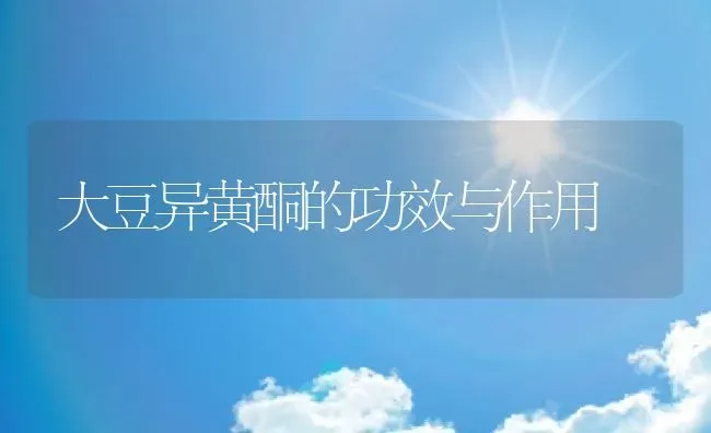 大豆异黄酮的功效与作用 | 养殖资料投稿
