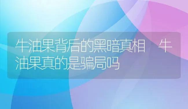 牛油果背后的黑暗真相 牛油果真的是骗局吗 | 养殖资料投稿