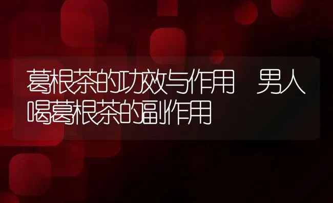 葛根茶的功效与作用 男人喝葛根茶的副作用 | 养殖资料投稿