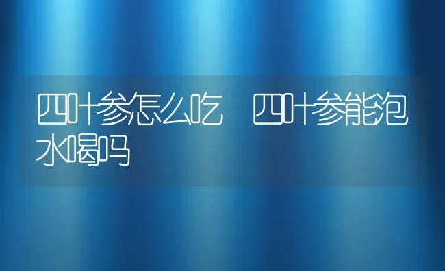 四叶参怎么吃 四叶参能泡水喝吗 | 养殖资料投稿