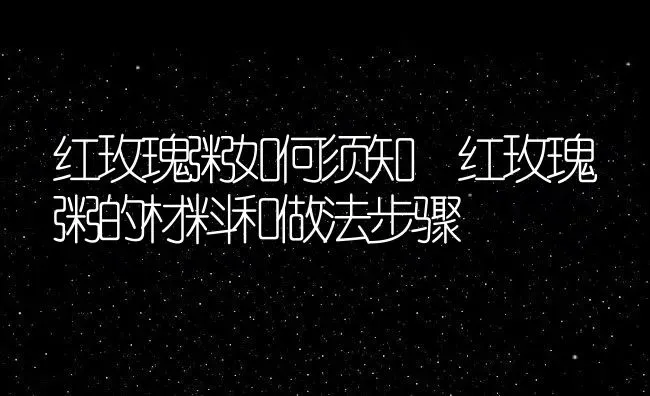 红玫瑰粥如何须知 红玫瑰粥的材料和做法步骤 | 养殖资讯