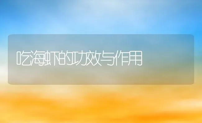 吃海虾的功效与作用 | 养殖资料投稿