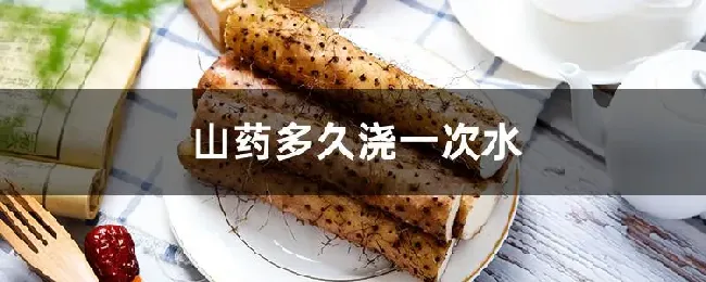 山药多久浇一次水