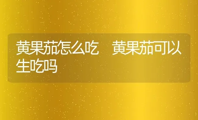 黄果茄怎么吃 黄果茄可以生吃吗 | 养殖资料投稿