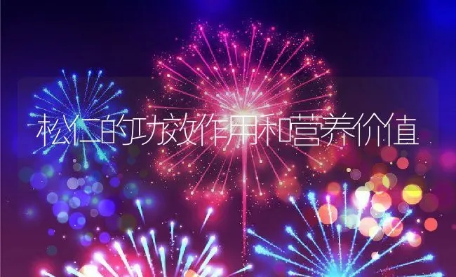 松仁的功效作用和营养价值 | 养殖资料投稿