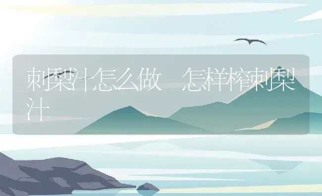 刺梨汁怎么做 怎样榨刺梨汁 | 养殖资料投稿
