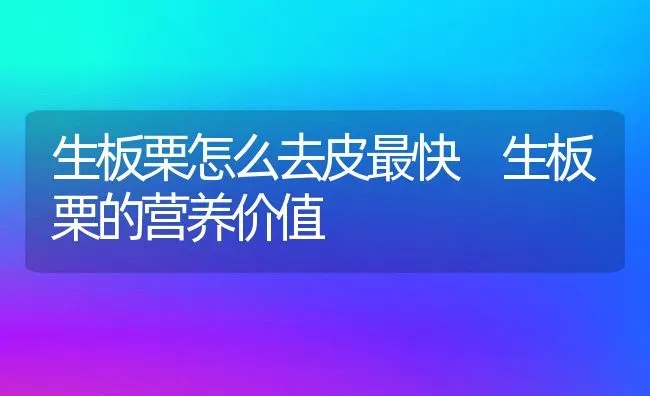 生板栗怎么去皮最快 生板栗的营养价值 | 养殖资料投稿