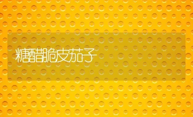 糖醋脆皮茄子 | 养殖资料投稿