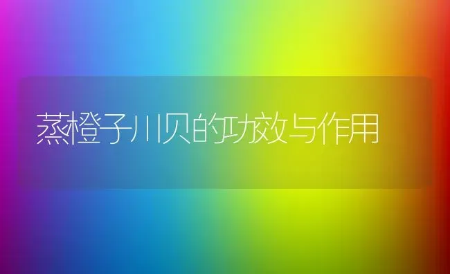 蒸橙子川贝的功效与作用 | 养殖资料投稿