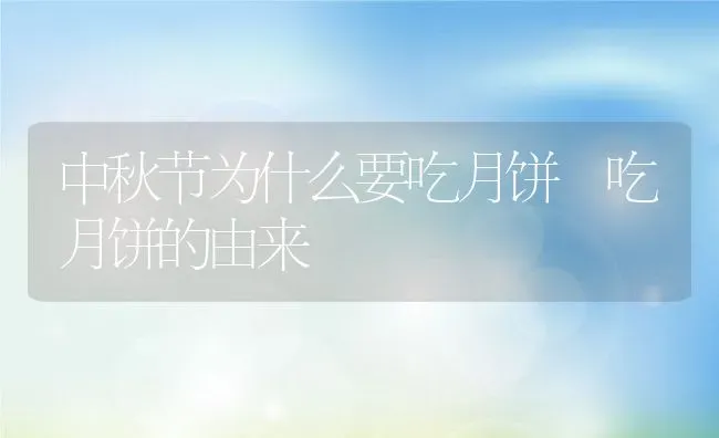 中秋节为什么要吃月饼 吃月饼的由来 | 养殖资料投稿