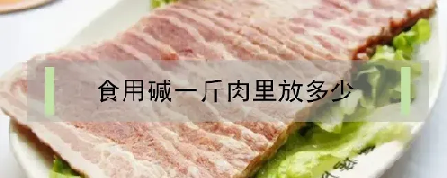 食用碱一斤肉里放多少