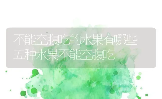 不能空腹吃的水果有哪些 五种水果不能空腹吃 | 养殖资料投稿