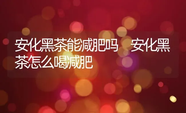 安化黑茶能减肥吗 安化黑茶怎么喝减肥 | 养殖资料投稿