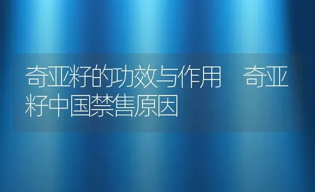 奇亚籽的功效与作用 奇亚籽中国禁售原因 | 养殖资料投稿