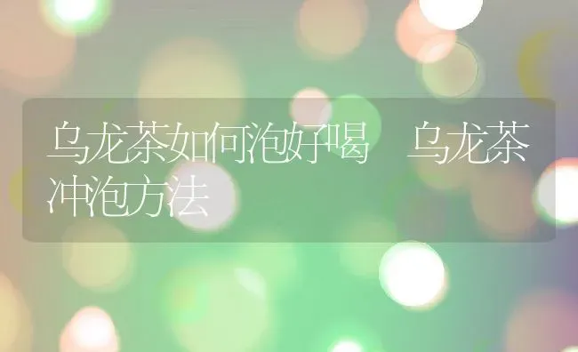 乌龙茶如何泡好喝 乌龙茶冲泡方法 | 养殖资料投稿