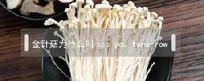 金针菇为什么叫see you tomorrow