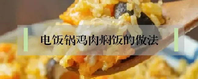 电饭锅鸡肉焖饭的做法