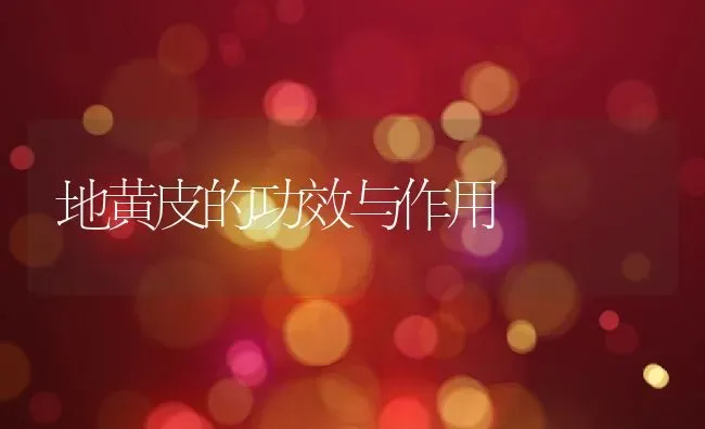 地黄皮的功效与作用 | 养殖资料投稿