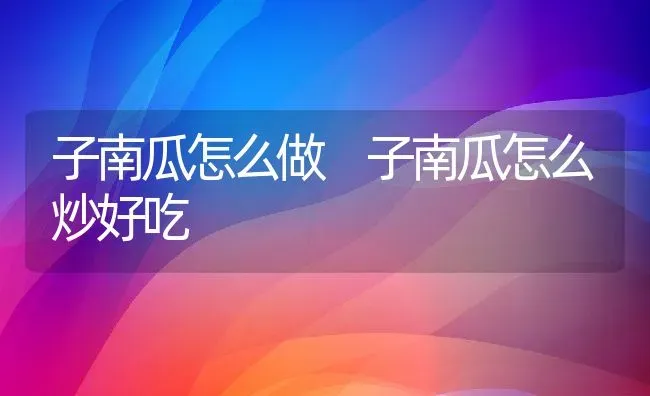 子南瓜怎么做 子南瓜怎么炒好吃 | 养殖资料投稿