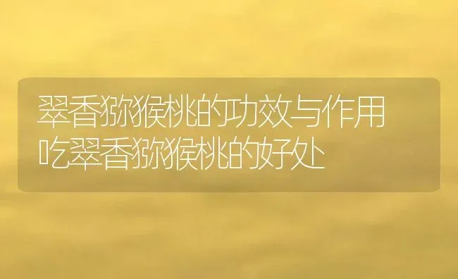 翠香猕猴桃的功效与作用 吃翠香猕猴桃的好处 | 养殖资料投稿