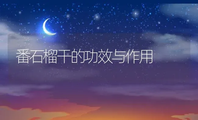 番石榴干的功效与作用 | 养殖资料投稿