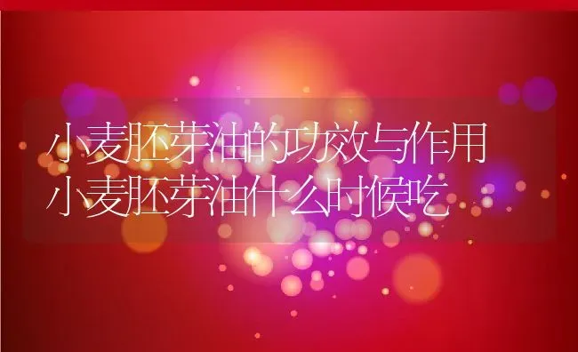 小麦胚芽油的功效与作用 小麦胚芽油什么时候吃 | 养殖资料投稿