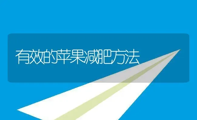 有效的苹果减肥方法 | 养殖资料投稿