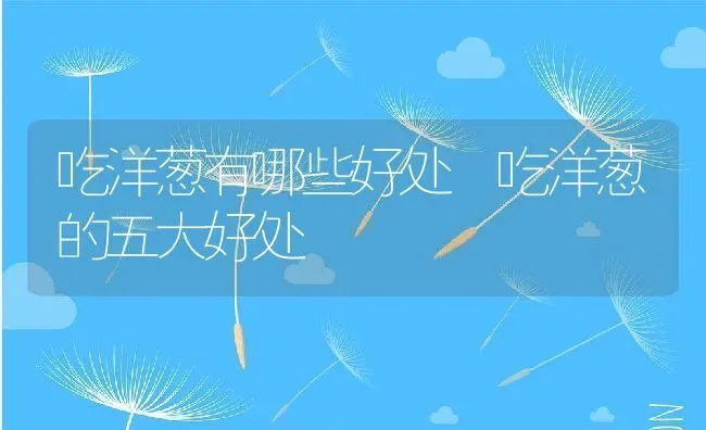 吃洋葱有哪些好处 吃洋葱的五大好处 | 养殖资料投稿