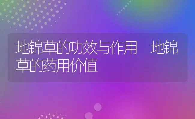 地锦草的功效与作用 地锦草的药用价值 | 养殖资料投稿