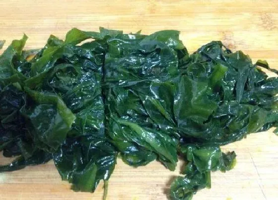 蔬菜|海芽菜和裙带菜是一种菜吗