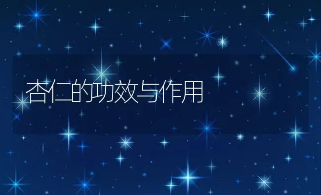 杏仁的功效与作用 | 养殖资料投稿