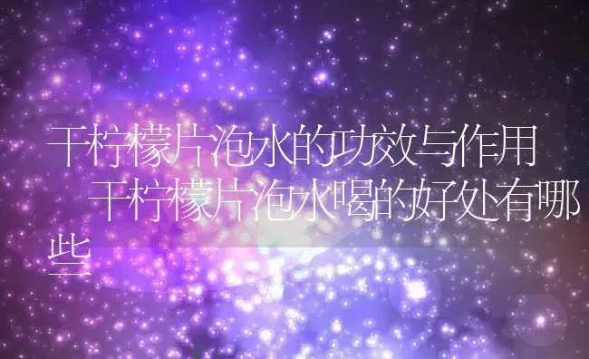 干柠檬片泡水的功效与作用 干柠檬片泡水喝的好处有哪些 | 养殖资料投稿