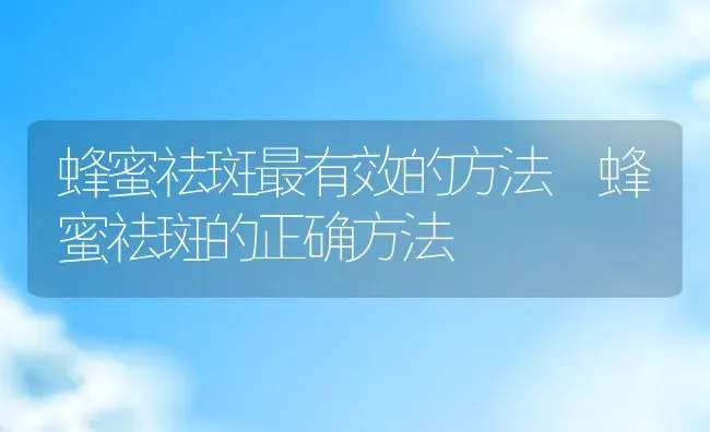 蜂蜜祛斑最有效的方法 蜂蜜祛斑的正确方法 | 养殖资料投稿