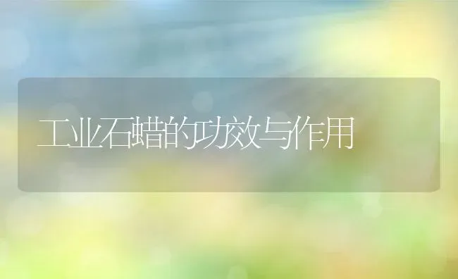 工业石蜡的功效与作用 | 养殖资料投稿