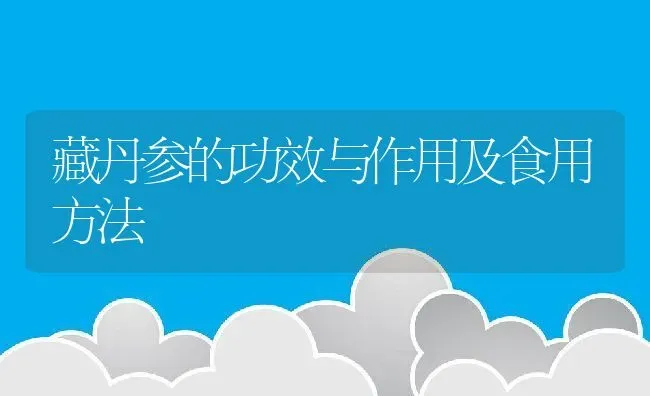 藏丹参的功效与作用及食用方法 | 养殖资料投稿