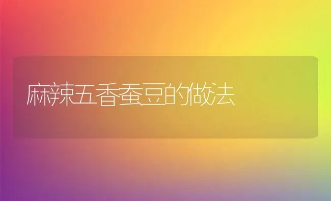 麻辣五香蚕豆的做法 | 养殖资料投稿