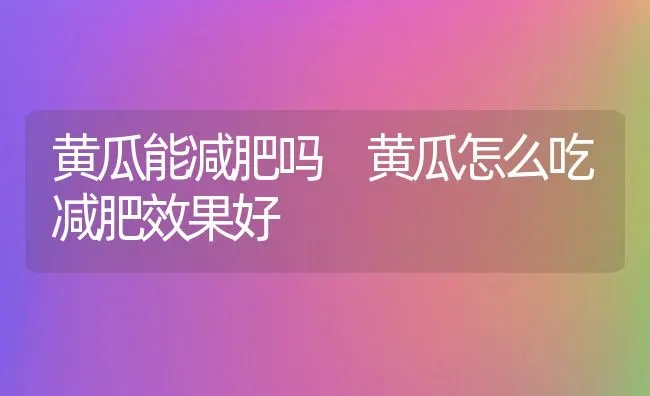 黄瓜能减肥吗 黄瓜怎么吃减肥效果好 | 养殖资料投稿