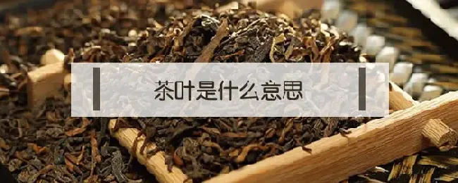 茶叶是什么意思