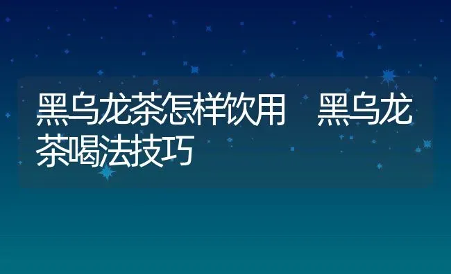 黑乌龙茶怎样饮用 黑乌龙茶喝法技巧 | 养殖资料投稿