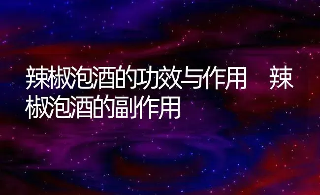 辣椒泡酒的功效与作用 辣椒泡酒的副作用 | 养殖资料投稿