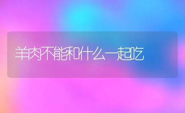 羊肉不能和什么一起吃 | 养殖资料投稿