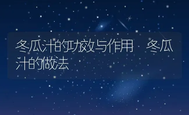 冬瓜汁的功效与作用 冬瓜汁的做法 | 养殖资料投稿