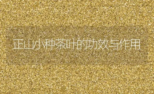 正山小种茶叶的功效与作用 | 养殖资料投稿
