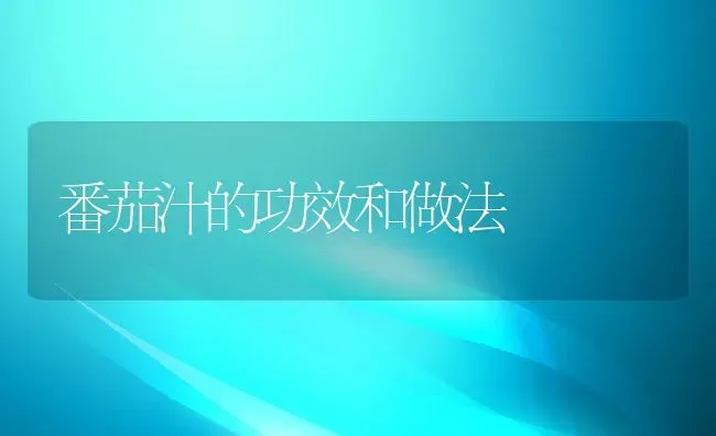 番茄汁的功效和做法 | 养殖资料投稿