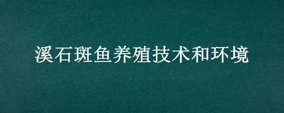 溪石斑鱼养殖技术和环境