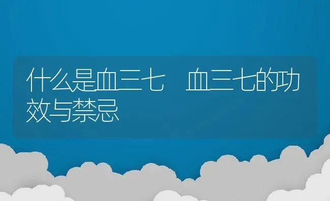 什么是血三七 血三七的功效与禁忌 | 养殖资料投稿